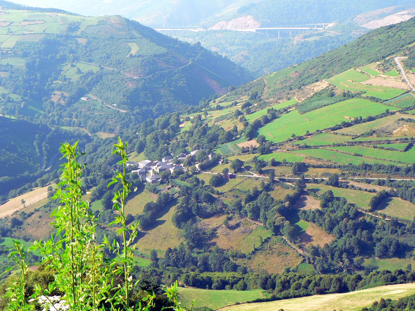 Galicia: la belleza del paisaje minifundista