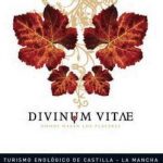 Enoturismo en Castilla La Mancha. Bodegas y rutas del vino con Divinum Vitae