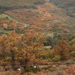 Senderismo en el Valle del Jerte