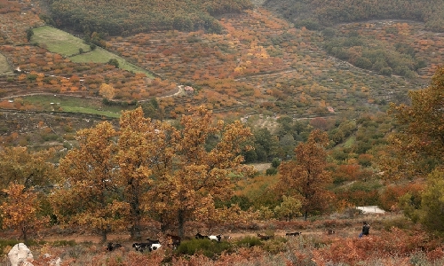 Senderismo en el Valle del Jerte