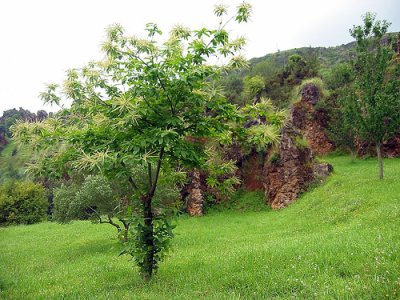 Cantabria, historia y naturaleza