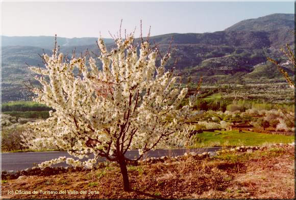 Turismo rural en el Vall del Jerte este otoño