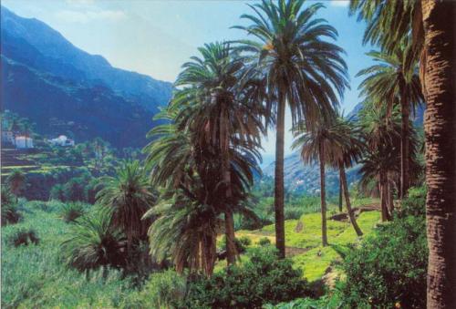 La Gomera, paraíso de las Islas Canarias