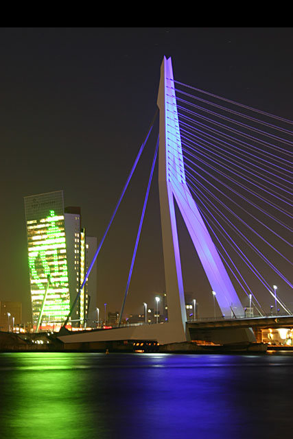 Rotterdam para todos los gustos