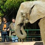 Vacaciones económicas en familia por Andalucía: Zoológicos y parques temáticos para los niños