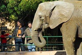 Vacaciones económicas en familia por Andalucía: Zoológicos y parques temáticos para los niños