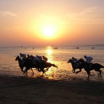 Sanlúcar de Barrameda, Cádiz. Entre el Guadalquivir y Doñana