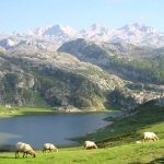 Picos de Europa | Turismo rural en el Parque Nacional de los Picos de Europa | Asturias, Cantabria y Castilla Y León