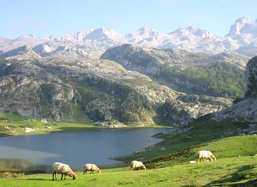 Picos de Europa | Turismo rural en el Parque Nacional de los Picos de Europa | Asturias, Cantabria y Castilla Y León