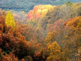 Finde romántico en Madrid: Rurismo en la Sierra del Rincón