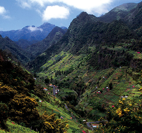 Rumbo a Madeira en junio