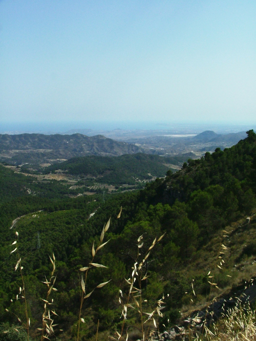 Alicante rural: La Sierra de la Carrasqueta