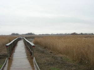 Hoteles en Castilla-La Mancha