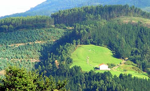 Escapadas a Vizcaya | Euskadi de fin de semana