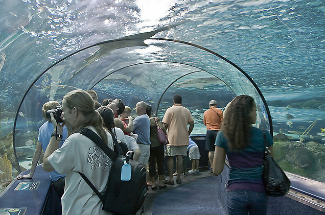 Actividades divertidas para todas las edades en el balneario de Myrtle Beach