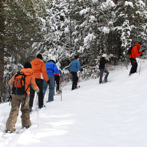 Las experiencias más originales en la nieve