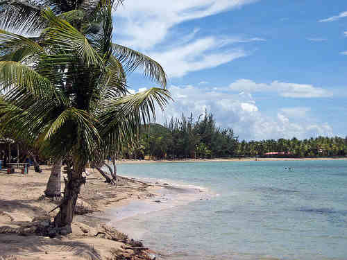 Conoce las hermosas playas de Puerto Rico