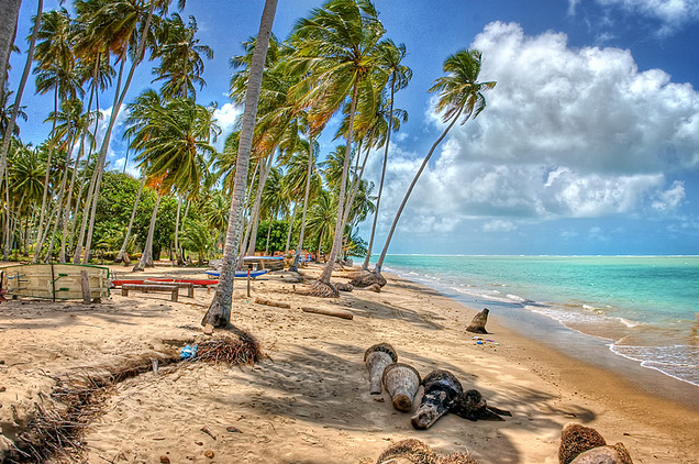 Destinos exóticos en el Caribe