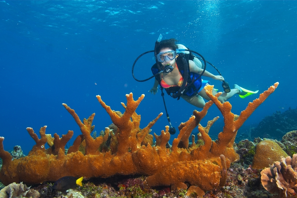 Bonaire y Belice: dos destinos para bucear en el Gran Caribe