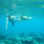 Snorkel en el Caribe – Una Aventura submarina para todos.