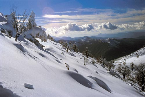 Fin de semana barato en la Sierra de las Nieves (Málaga)