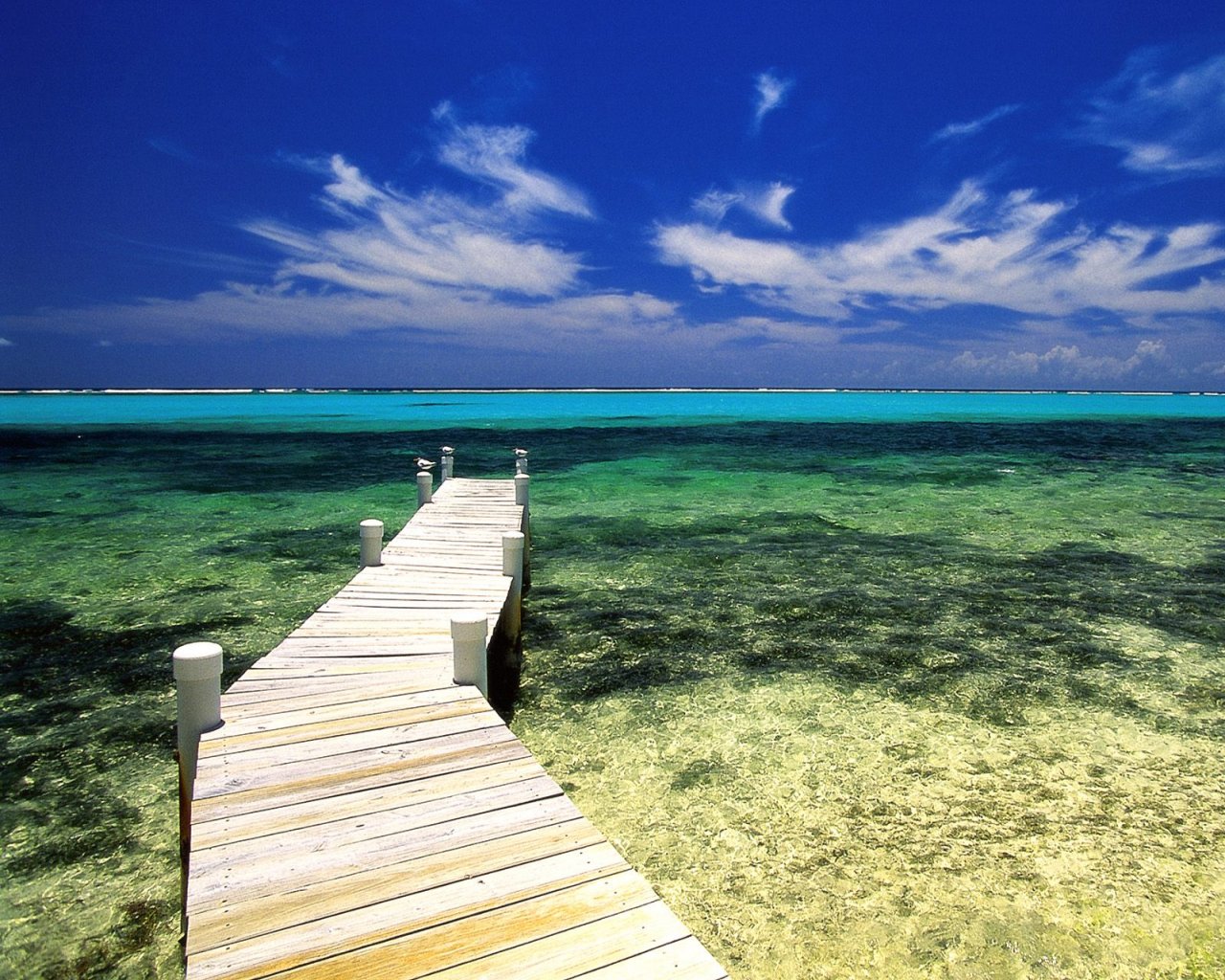 Buceo en el Caribe – los mejores lugares para los aficionados III