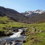 Ofertas escapadas Asturias: Parque de Ponga