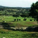 Viaje de fin de semana en la Sierra de Andújar (Jaén)