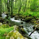 Naturaleza en Ávila | Ecoturismo y turismo activo en el Valle de Iruelas