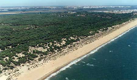 Punta Umbría y sus playas. Un lugar para visitar este verano