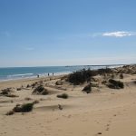 Turismo de sol y playa en Alicante: Guardamar del Segura