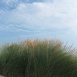 Cabo de Gata (Almería)