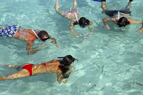 Consejos para practicar el esnórquel en El Caribe