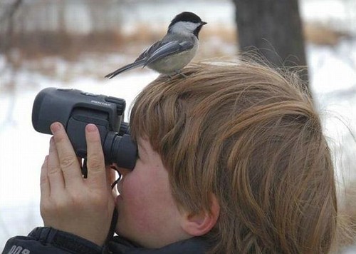 Infancia y naturaleza