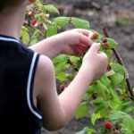 Razones para viajar con niños un fin de semana