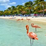 Recorra el Caribe a bordo del Carnival Breeze