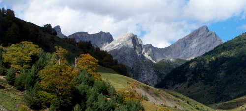 Selva Negra, sus ciudades