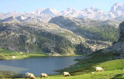 Picos de Europa: Escapadas baratas en Castilla y León, Asturias y Cantabria | Rutas y alojamientos económicos