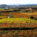 Hoteles en La Rioja, nos vamos de fin de semana