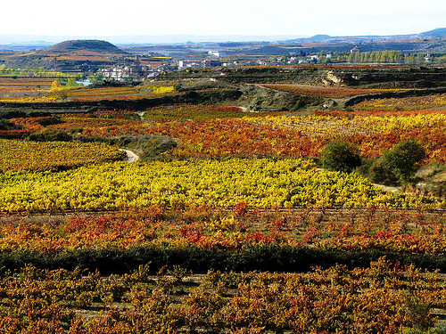 Hoteles en La Rioja, nos vamos de fin de semana